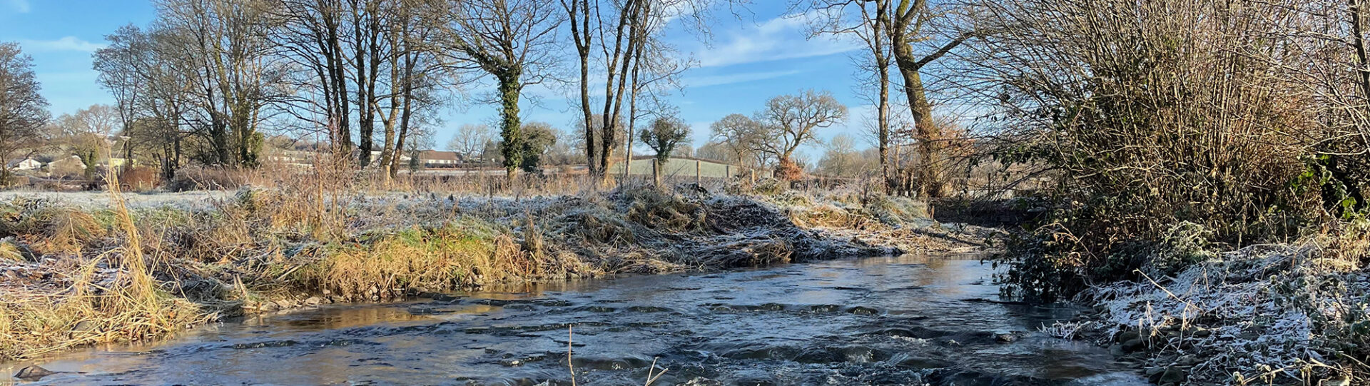 River in misty sunlight