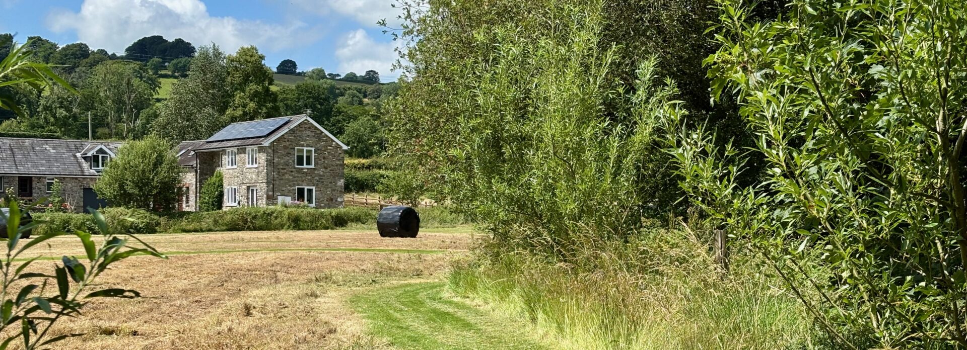 River in misty sunlight